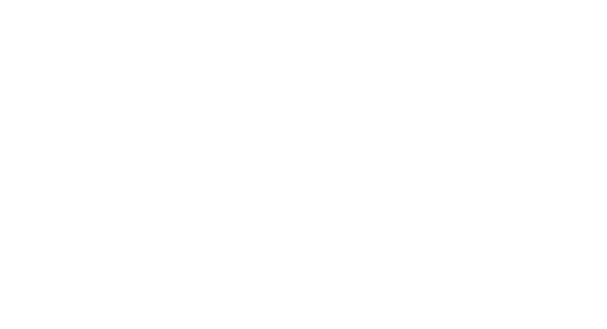 First Solution Logo